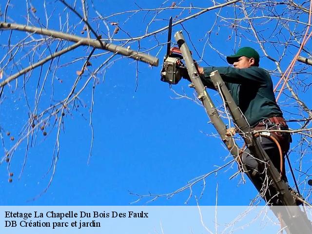 Etetage  la-chapelle-du-bois-des-faulx-27930 DB Création parc et jardin