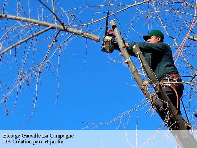 Etetage  gauville-la-campagne-27930 DB Création parc et jardin