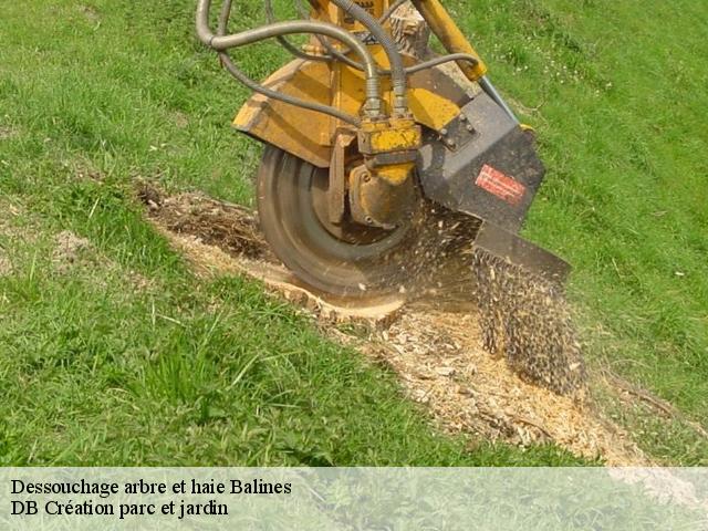 Dessouchage arbre et haie  balines-27130 DB Création parc et jardin