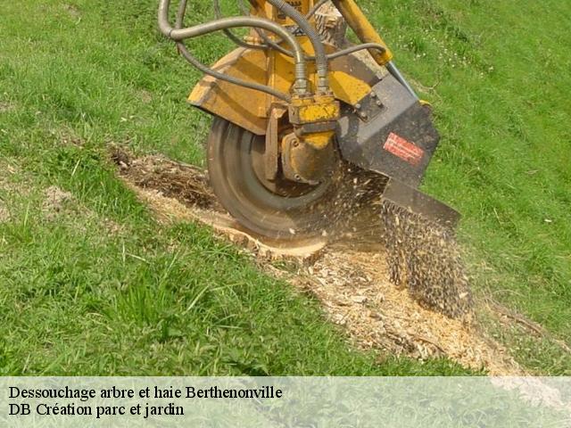 Dessouchage arbre et haie  berthenonville-27630 DB Création parc et jardin