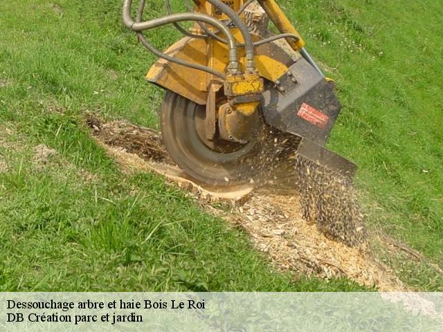 Dessouchage arbre et haie  bois-le-roi-27220 DB Création parc et jardin