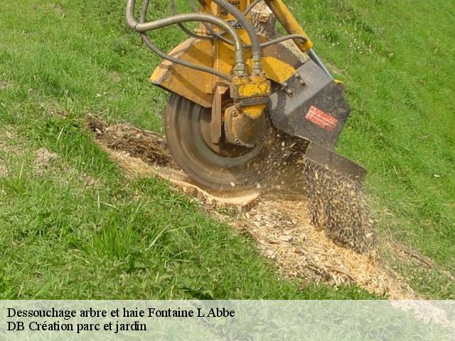 Dessouchage arbre et haie  fontaine-l-abbe-27300 DB Création parc et jardin