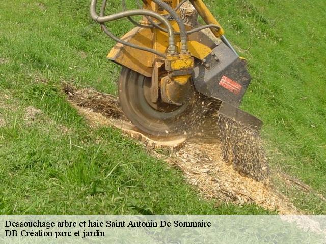 Dessouchage arbre et haie  saint-antonin-de-sommaire-27250 DB Création parc et jardin