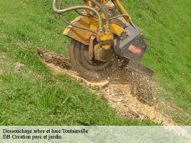 Dessouchage arbre et haie  toutainville-27500 DB Création parc et jardin