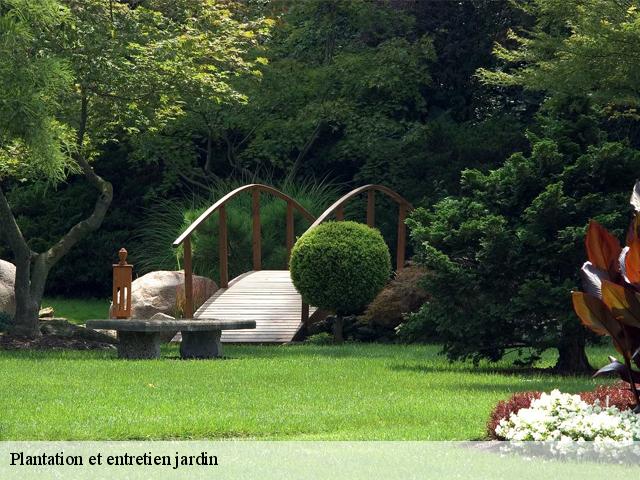 Plantation et entretien jardin  les-bottereaux-27250 DB Création parc et jardin