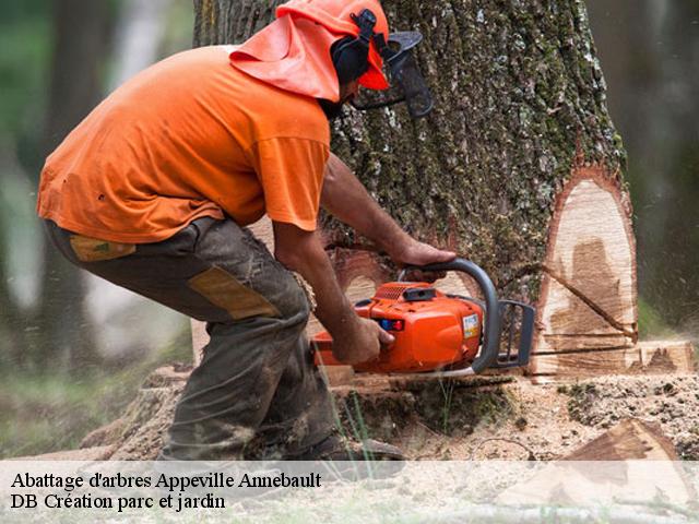 Abattage d'arbres  appeville-annebault-27290 DB Création parc et jardin