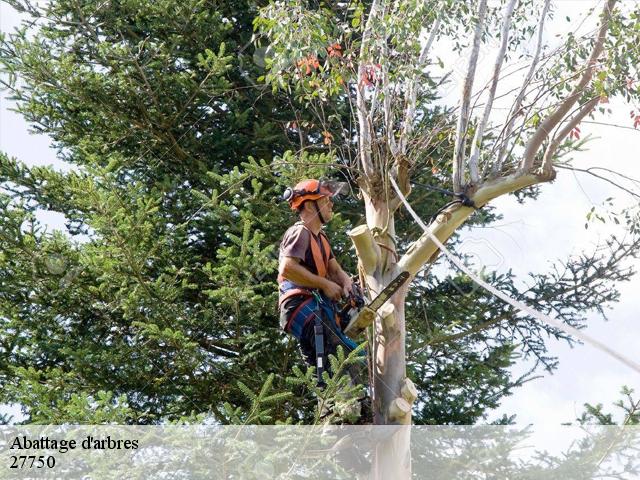 Abattage d'arbres  la-couture-boussey-27750 DB Création parc et jardin