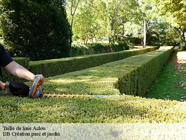 Taille de haie  aclou-27800 DB Création parc et jardin