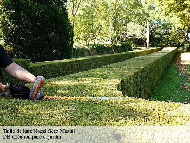 Taille de haie  nagel-seez-mesnil-27190 DB Création parc et jardin