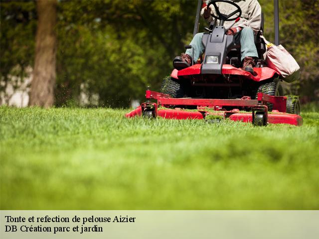 Tonte et refection de pelouse  aizier-27500 DB Création parc et jardin