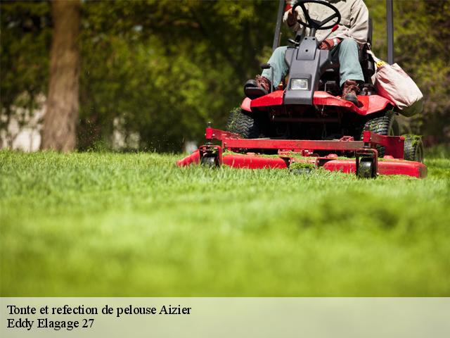 Tonte et refection de pelouse  aizier-27500 Eddy Elagage 27