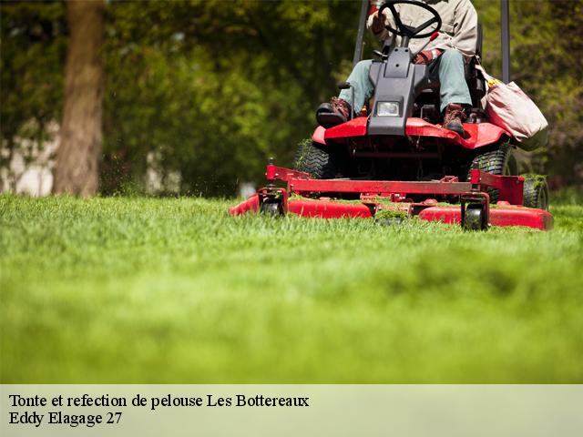 Tonte et refection de pelouse  les-bottereaux-27250 Eddy Elagage 27