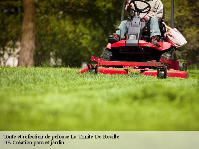 Tonte et refection de pelouse  la-trinite-de-reville-27270 DB Création parc et jardin