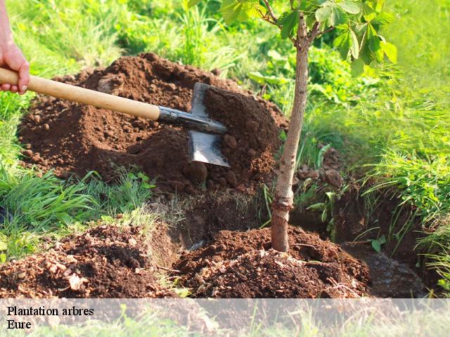 Plantation arbres 27 Eure  DB Création parc et jardin