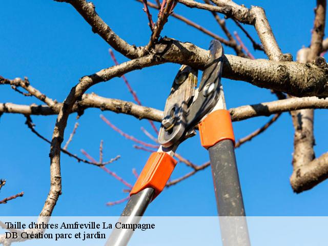 Taille d'arbres  amfreville-la-campagne-27370 DB Création parc et jardin