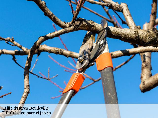 Taille d'arbres  boulleville-27210 DB Création parc et jardin