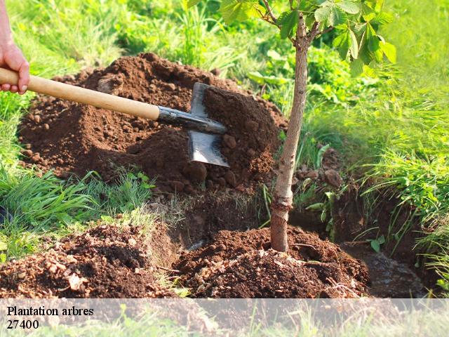 Plantation arbres  amfreville-sur-iton-27400 DB Création parc et jardin