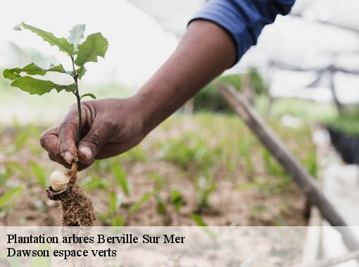 Plantation arbres berville-sur-mer-27210 Dawson espace verts