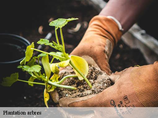 Plantation arbres sainte-colombe-pres-vernon-27950 Dawson espace verts